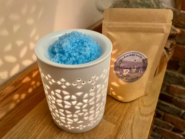 Blue Raspberry Slushie Scented Sizzlers