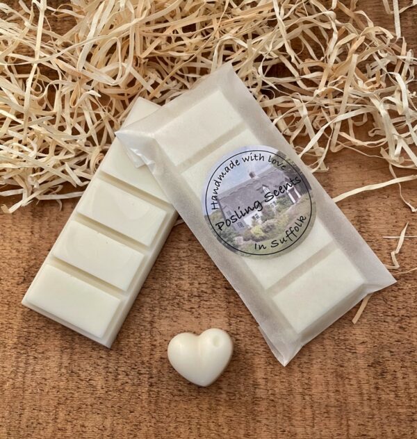 Vintage Bookstore Wax Melt Snap Bar